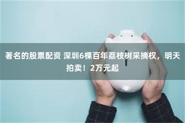 著名的股票配资 深圳6棵百年荔枝树采摘权，明天拍卖！2万元起