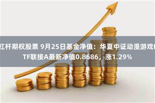 杠杆期权股票 9月25日基金净值：华夏中证动漫游戏ETF联接A最新净值0.8686，涨1.29%