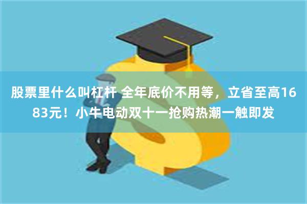 股票里什么叫杠杆 全年底价不用等，立省至高1683元！小牛电动双十一抢购热潮一触即发