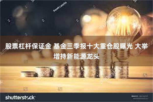 股票杠杆保证金 基金三季报十大重仓股曝光 大举增持新能源龙头