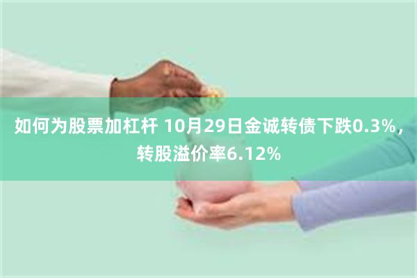 如何为股票加杠杆 10月29日金诚转债下跌0.3%，转股溢价率6.12%