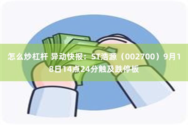 怎么炒杠杆 异动快报：ST浩源（002700）9月18日14点24分触及跌停板