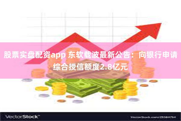 股票实盘配资app 东软载波最新公告：向银行申请综合授信额度2.8亿元