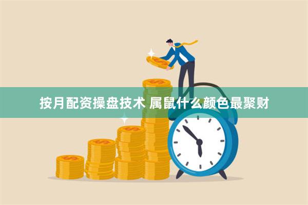 按月配资操盘技术 属鼠什么颜色最聚财